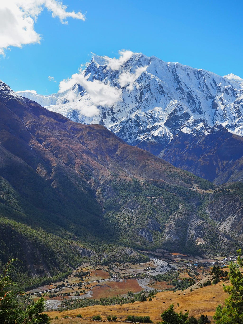 Image of Annapurna Base Camp Area, which is Very Peaceful and Very Beautiful Place in Nepal.