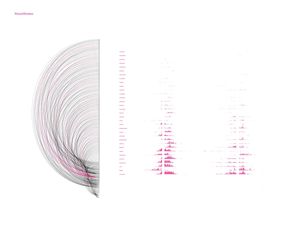 An experimental sideways arc diagram, lined up beside mini bar charts of warbler abundance. Titled: Passeriformes.