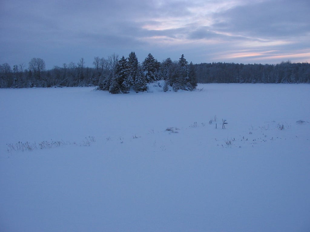 Curleys Lake in the winter covered in snow