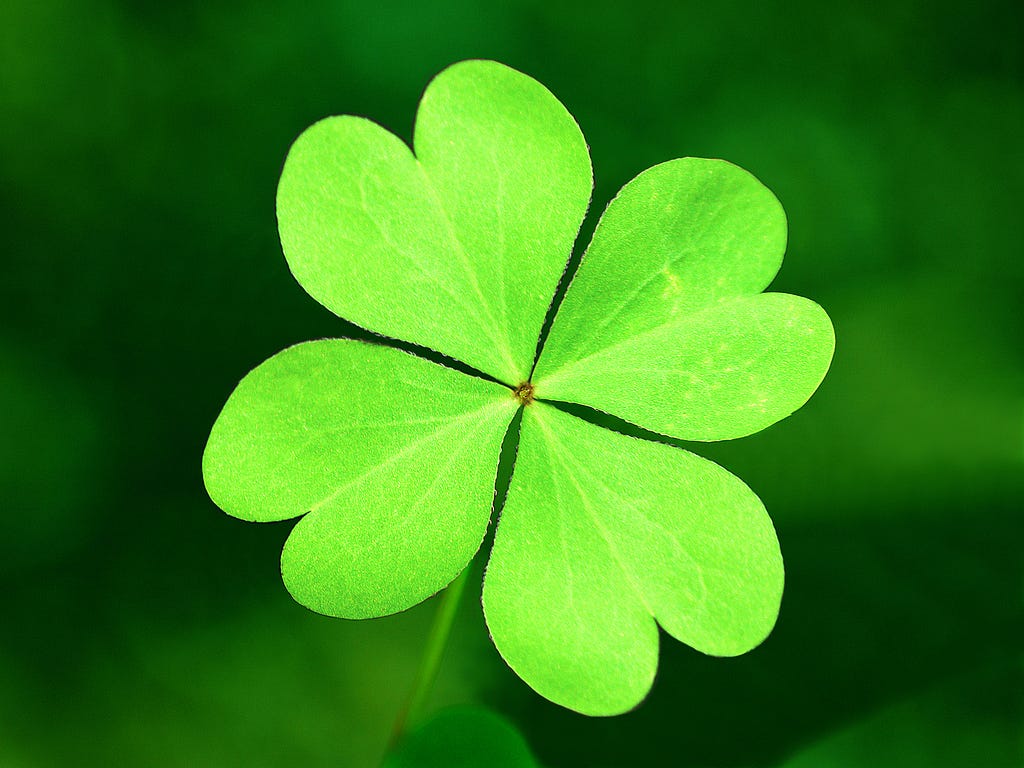 i four-leaf clover with the leaves shaped like hearts