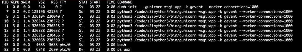 Command line output: Initial process list before sending USR2 signal