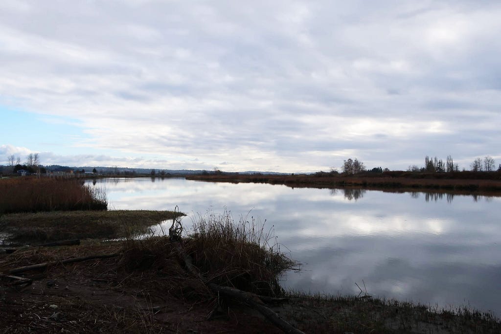 Photo of Ebey Slough, showing the slough with the sky reflected in the water