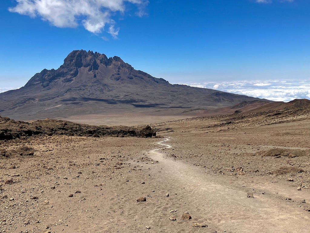 A trail winds through a stark, desert-like landscape of gravel and rocks with Mawenzi Peak in the background under blue skies.