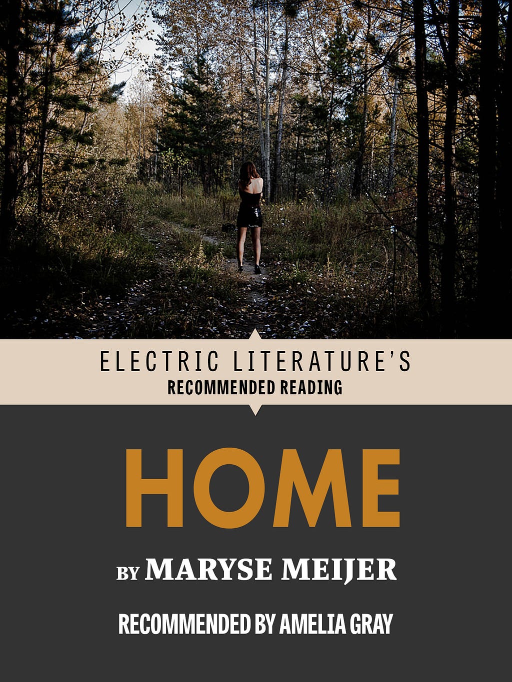 home by maryse meijer electric literature home by maryse meijer electric literature