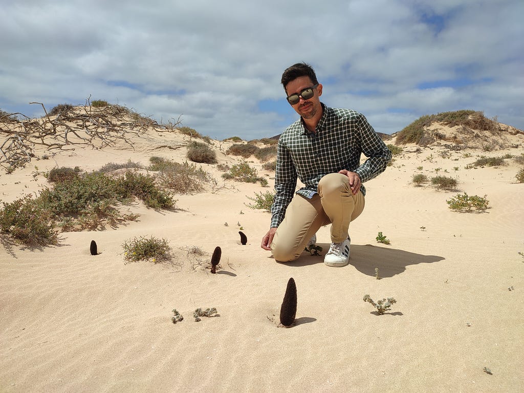 A photo of sand dunes, blue sky in the background with Matías Hernandez Gonzalez standing next to a population of Cynomorium coccineum plants growing around him.