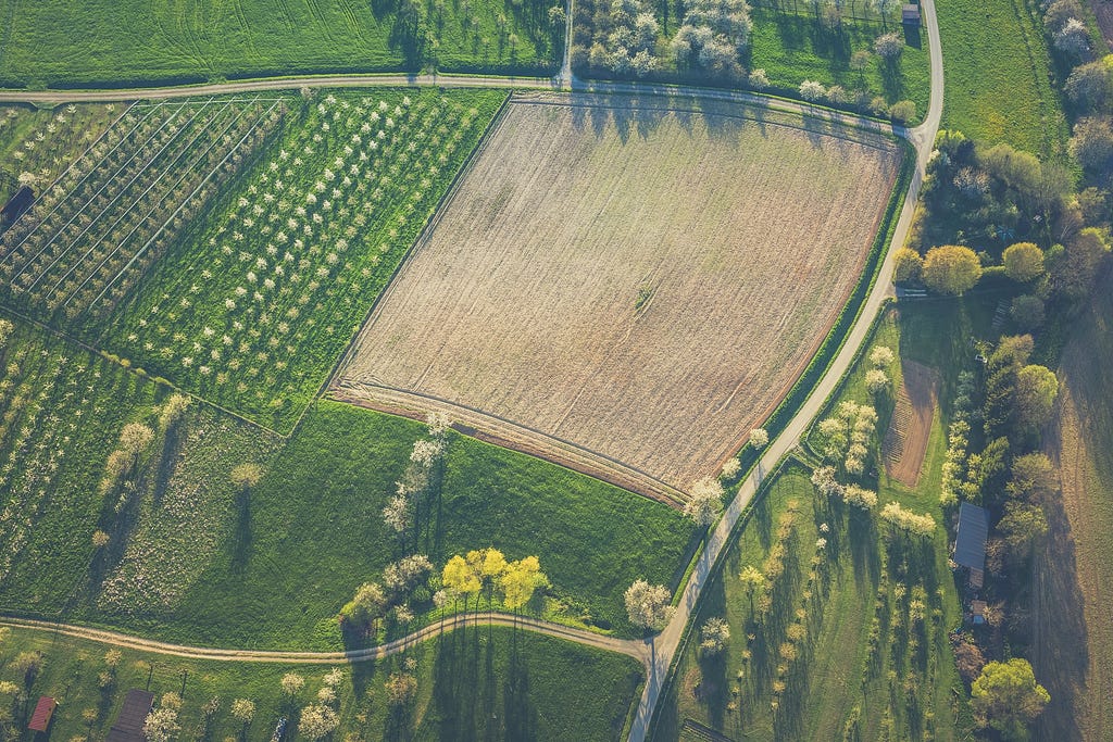 Aerial view of green fields at sunset — By merging historical georeferenced data sets such as yield, salinity, and topography, GeoPard’s prescription maps enable a precision agriculture approach.