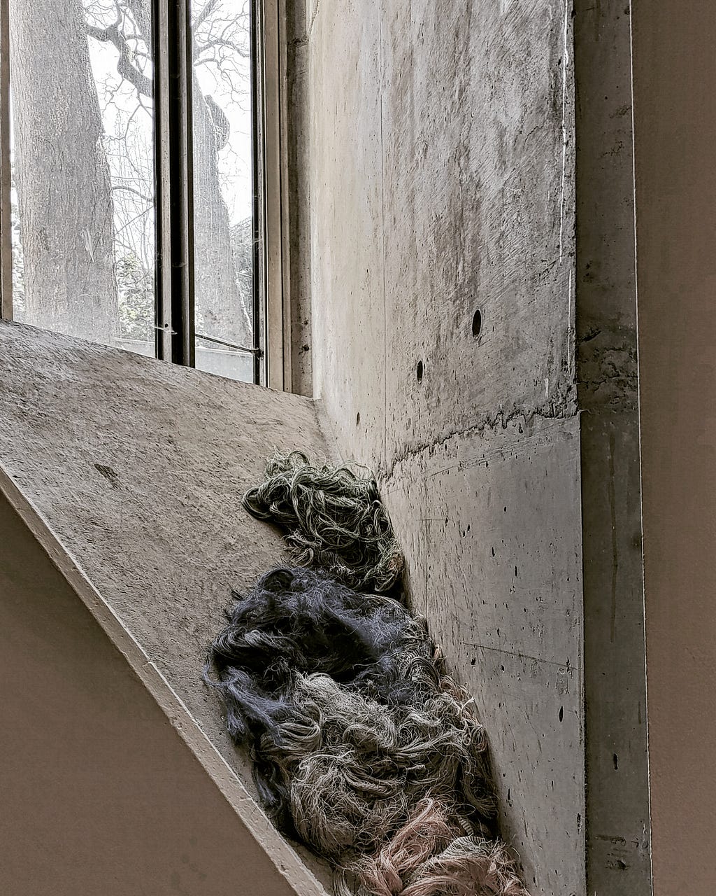 Clumps of frayed fabric lie on a concrete window sill