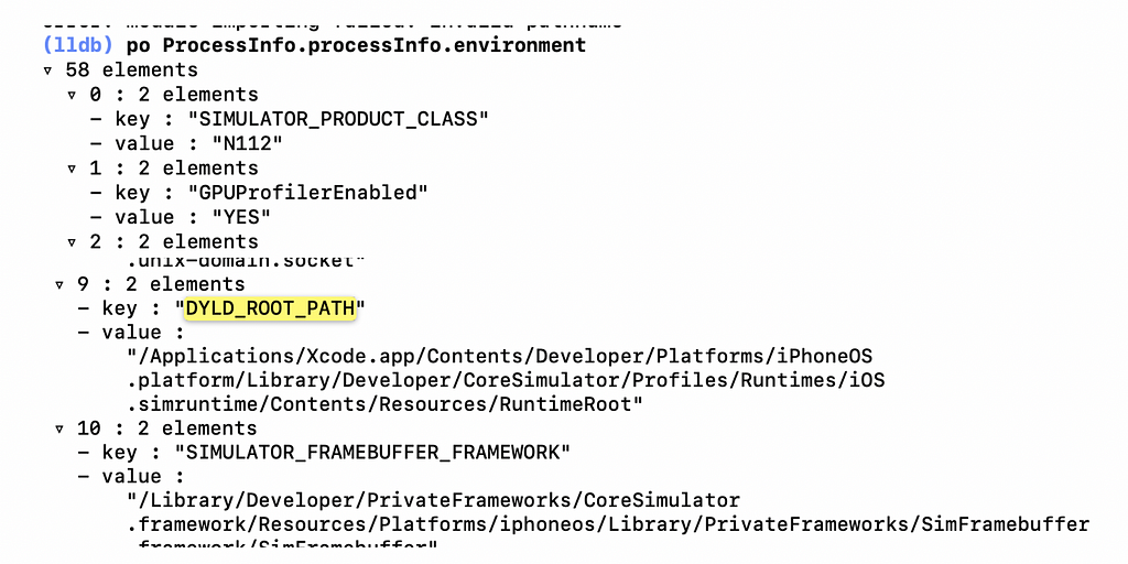 Printed value of ProcessInfo.processInfo.environment variable which gets passed during app launch in console.