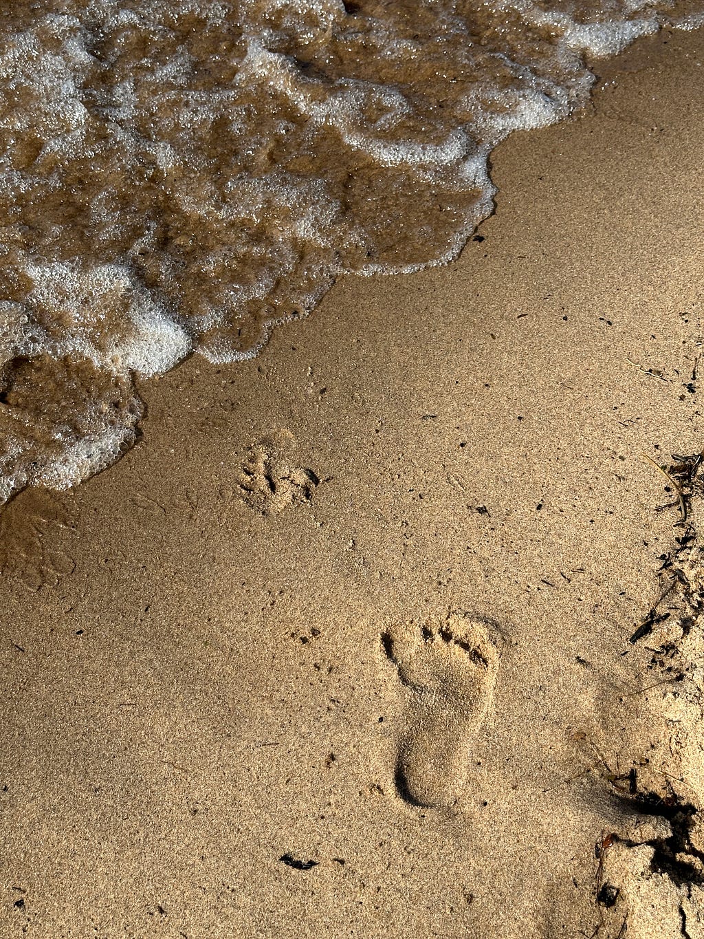 Footprints on the beach of Lake Superior