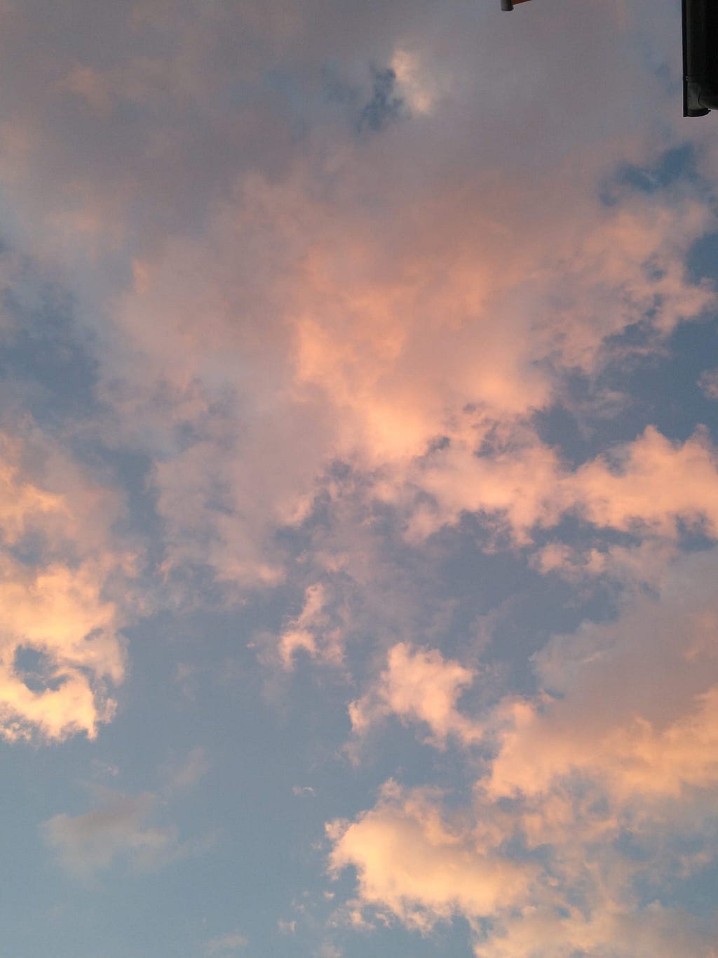 Pink clouds in a blue sky, coloured by the sunset.