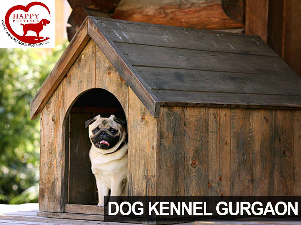 Dog kennels in Gurgaon