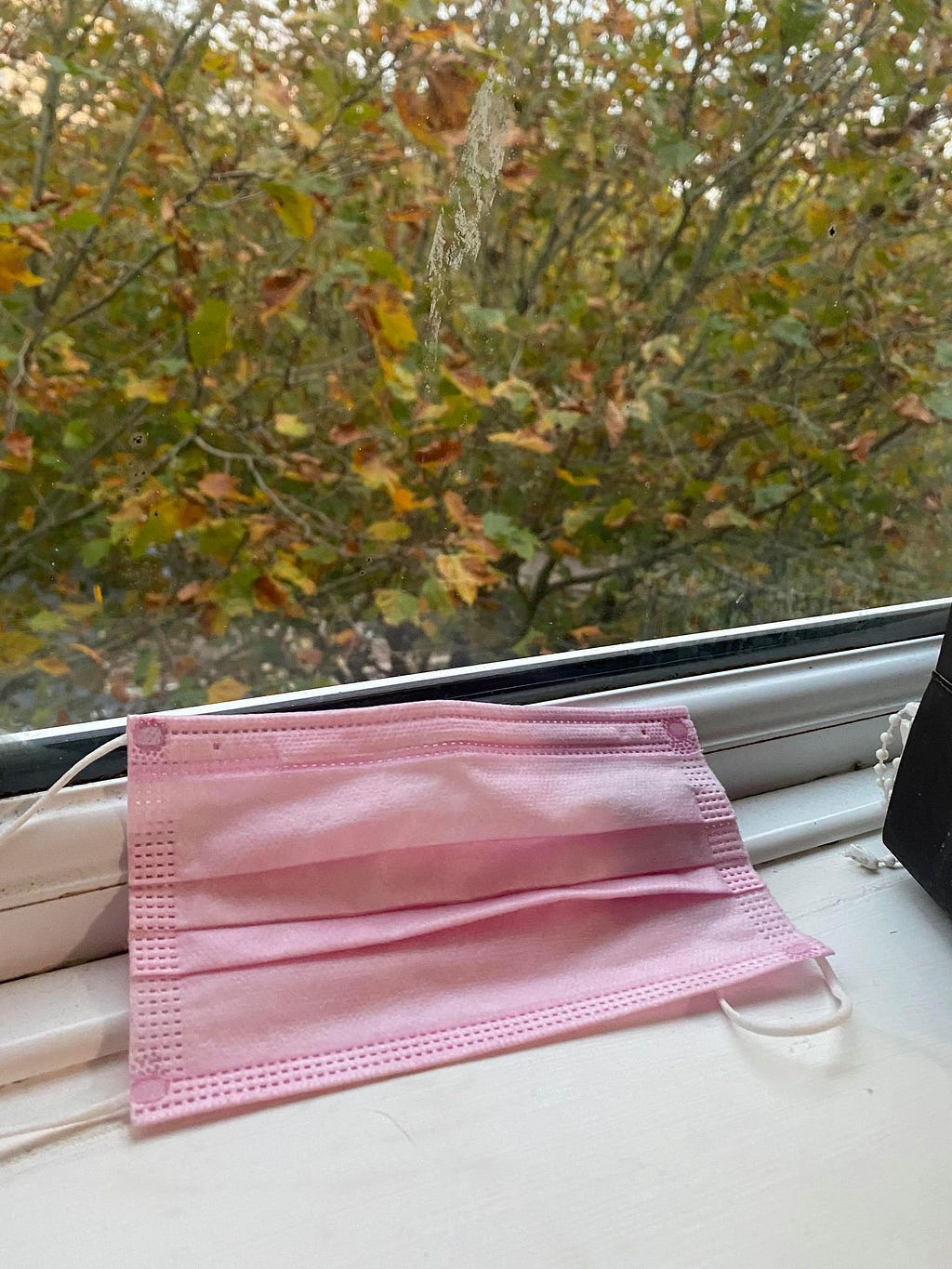 A pink face mask against a window, overlooking a tree. The leaves on the tree are changing colour and many are brown.