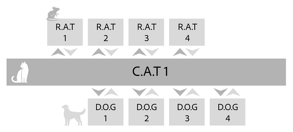 3 track streams of focus with cat work throughout and in the middle and Rat and dog work in segments dog work following on from the feedback of rat work