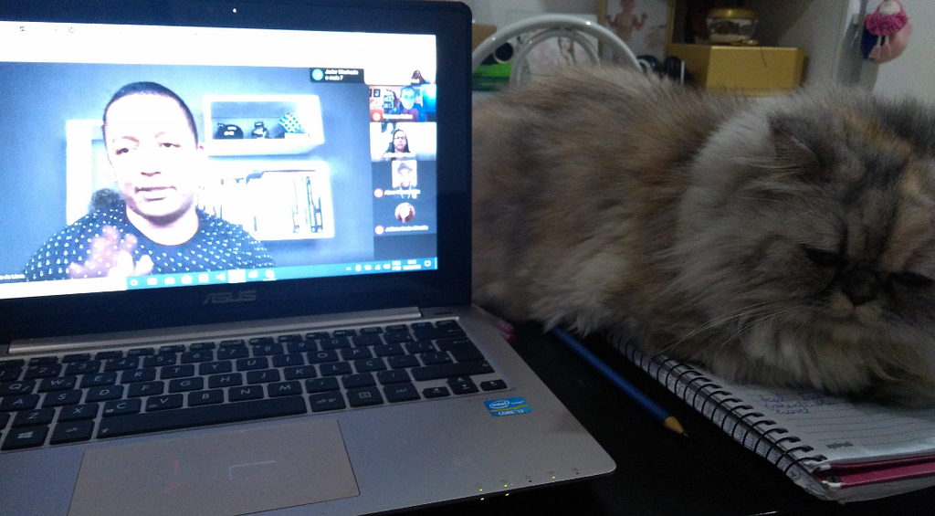 Meu notebook aberto com uma imagem do Júlio de Lima durante o curso TSPI e do lado minha gata persa cinza.