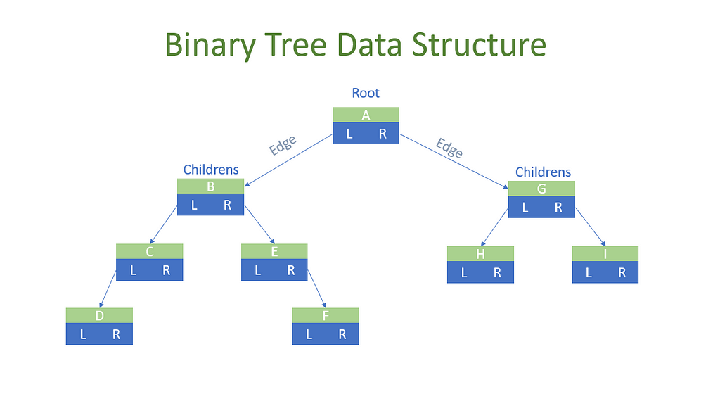 Binary Tree Data Structure