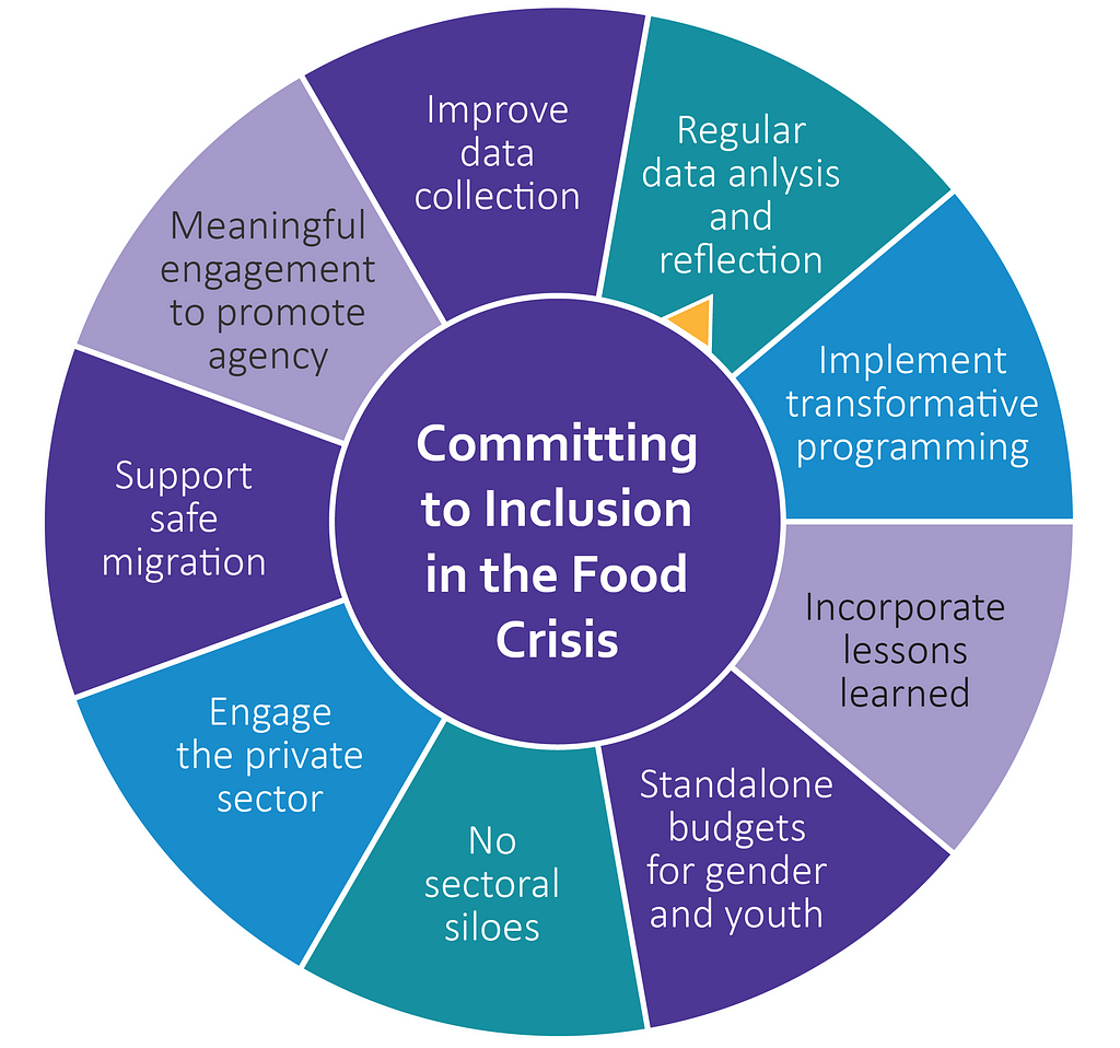 A graphic illustration of Committing to Inclusion in the Food Crisis, as a wheel. In the center of the wheel is “Committing to Inclusion in the Food Crisis”. Clockwise from the top: Improve data collection; regular data analysis and reflection; implement transformative programming; incorporative programming; incorporate lessons learned; standalone budgets for gender and youth; no sectoral siloes; engage the private sector; support safe migration; meaningful engagement to promote agency.