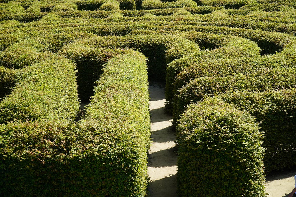 Entrance of a maze made up of green bushes