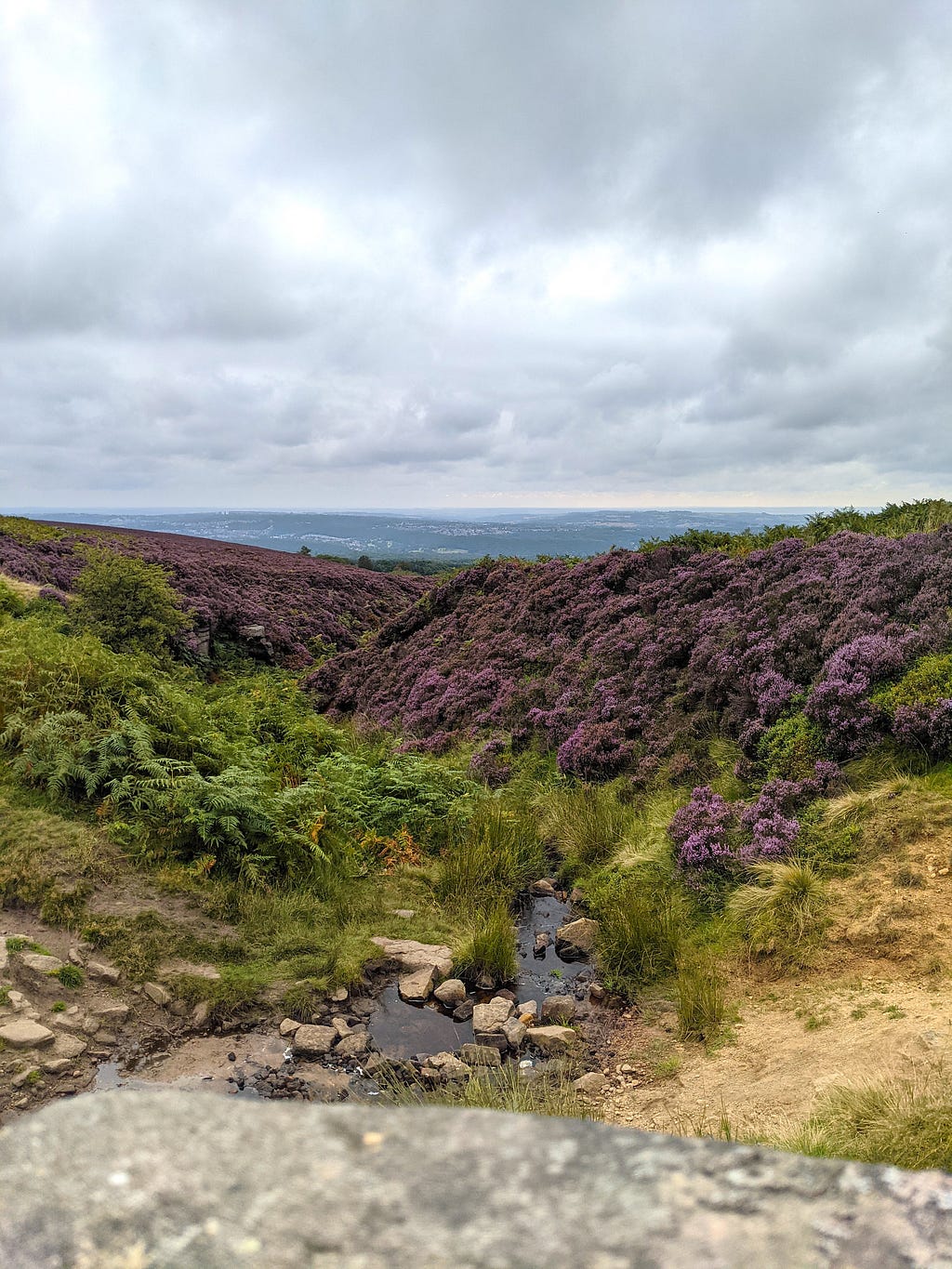 Two slopes covered in heather and bracken meet at a small stream.