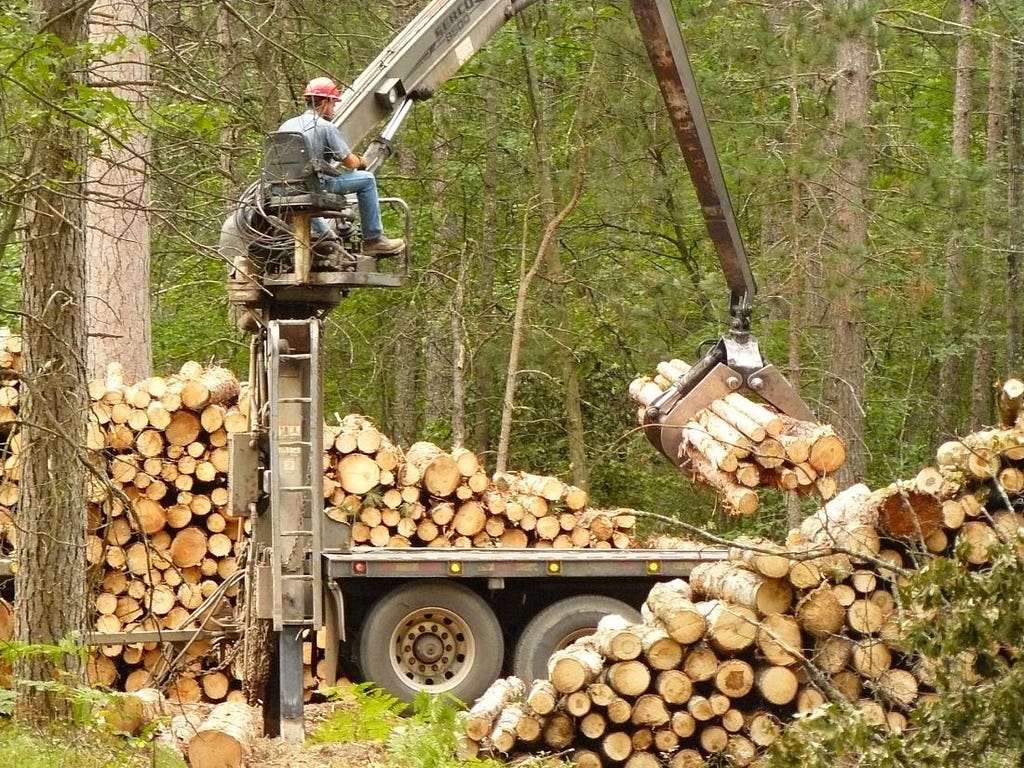 source: https://www.dailypress.net/news/community/2019/08/logging-getting-the-wood-out/
