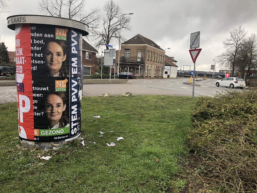 Verkiezingsposters in de Hoven, Zutphen / Foto: Jasmijn Apte