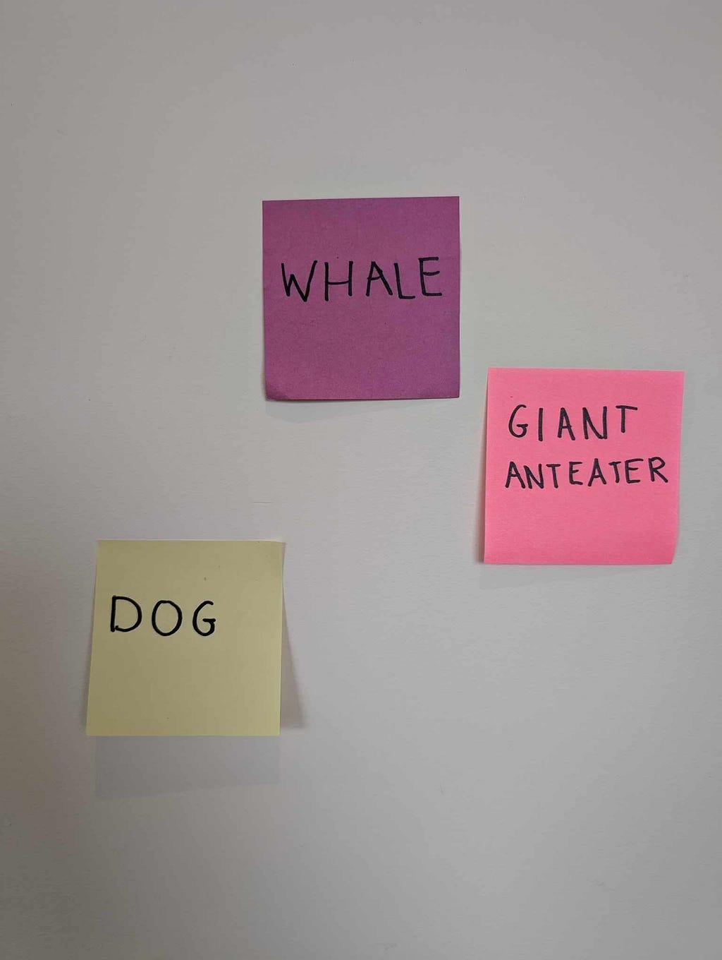 Three sticky notes on a wall; top left purple with “WHALE,” top right pink with “GIANT ANTEATER,” and bottom yellow with “DOG,” all in capital letters.