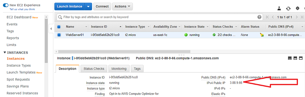 AWS Instance Interface showing the IP address of the instance