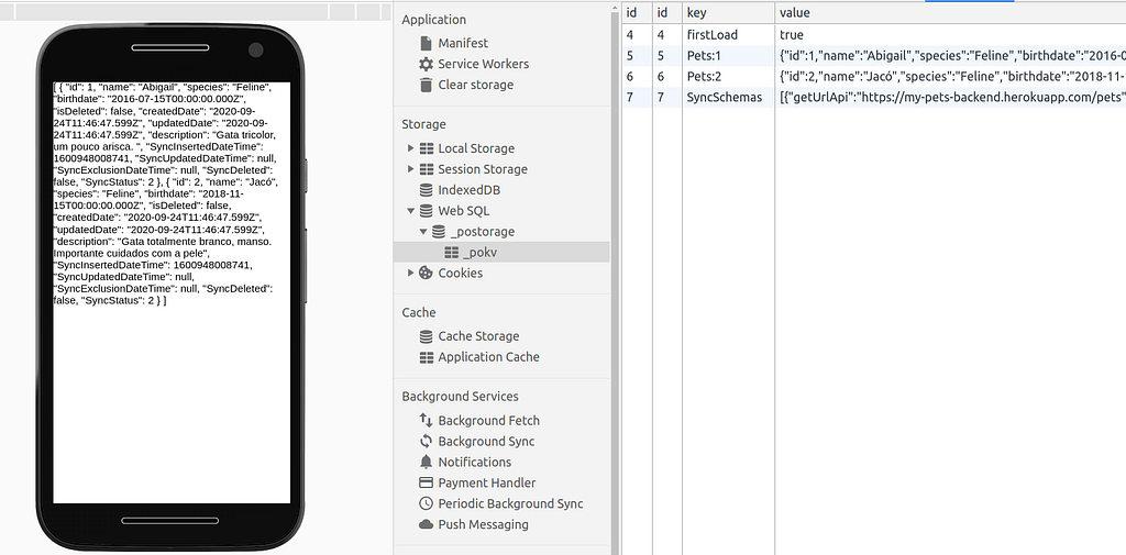 Aba do navagador contendo um simulador de celular com dados sobre os pets e esse dados estão no storage do navegador