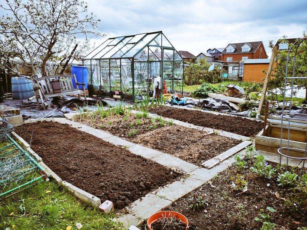 Our allotment with a freshly dug bed