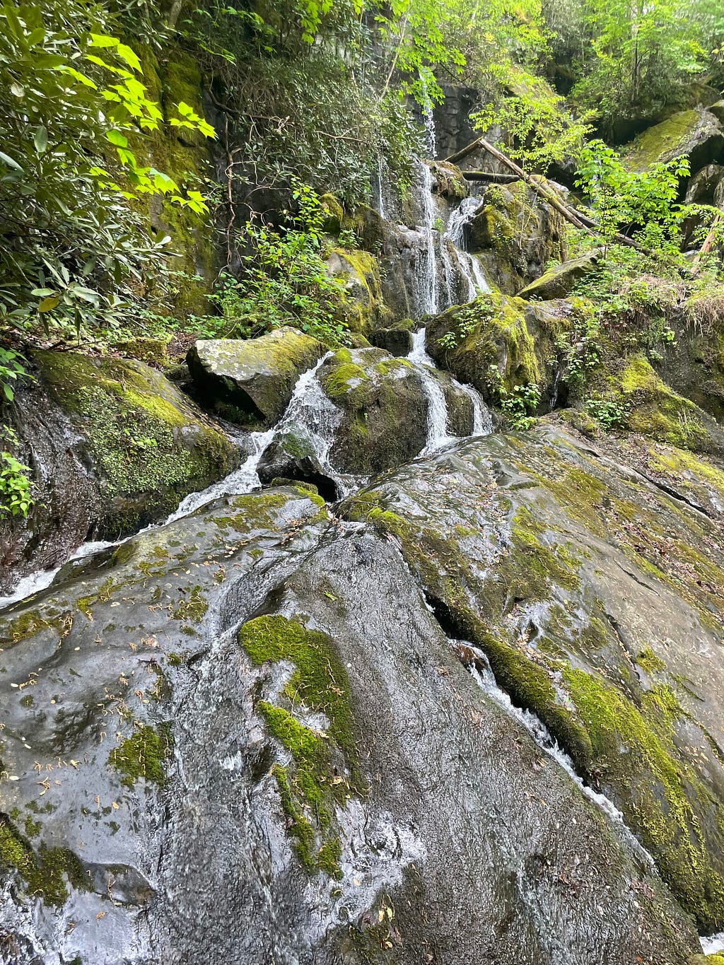 A stream runs through boulders.
