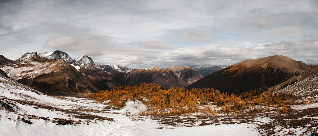 A expansive mountain range and bright orange larches stand out from the alpine view.