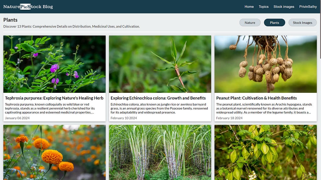 NaturePicStock Blog | Plants article