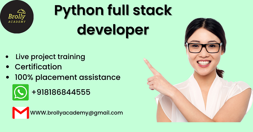 Python full stack developer