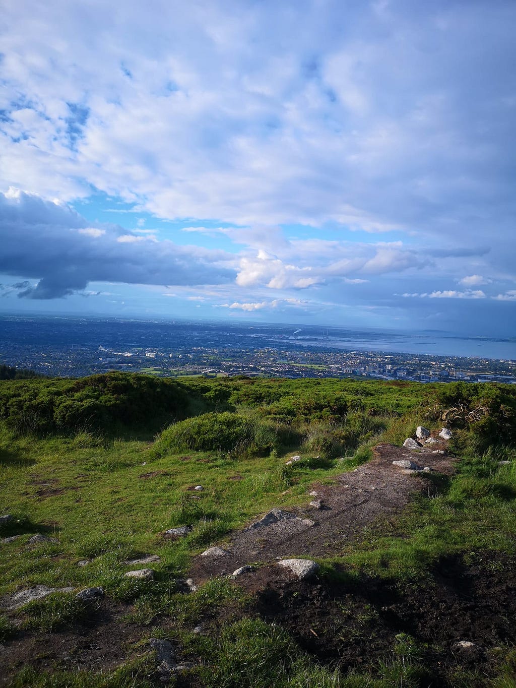 Ticknock Mountain Biking trail. Located in the Dublin Mountains. (June, 2019 with Yari Alpizar)