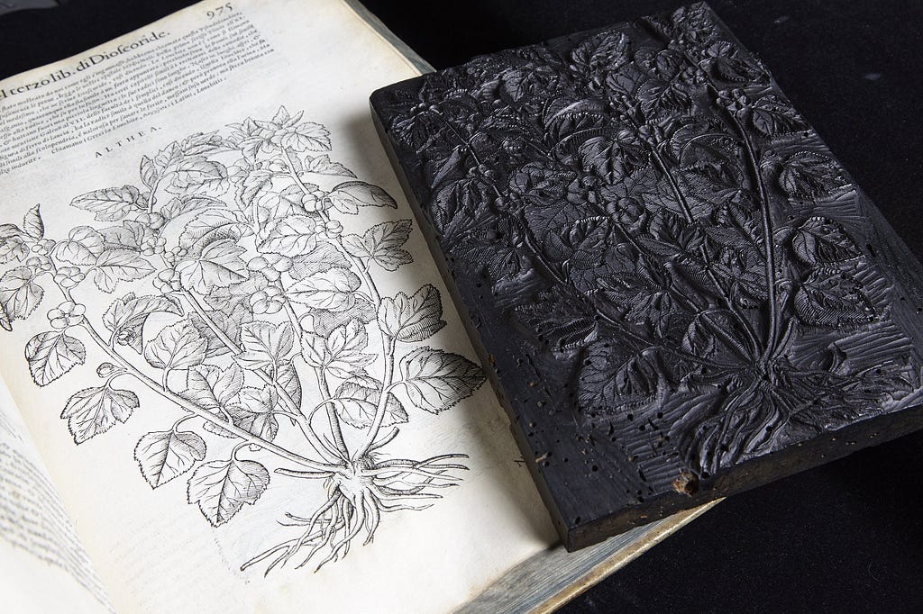 Woodblock of althea plant and book