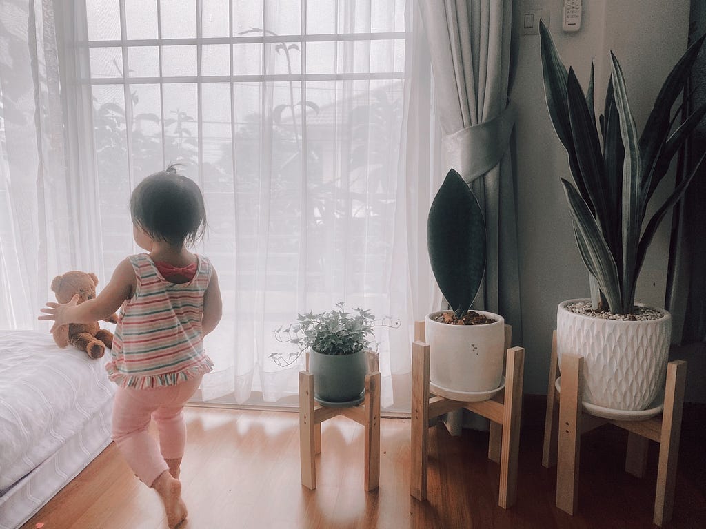 Namjai and her plants.