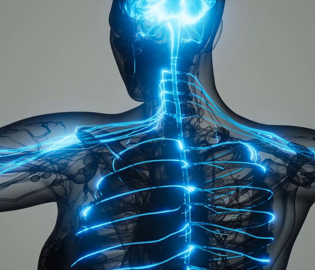graphic depictin of the inside nervous system illuminated