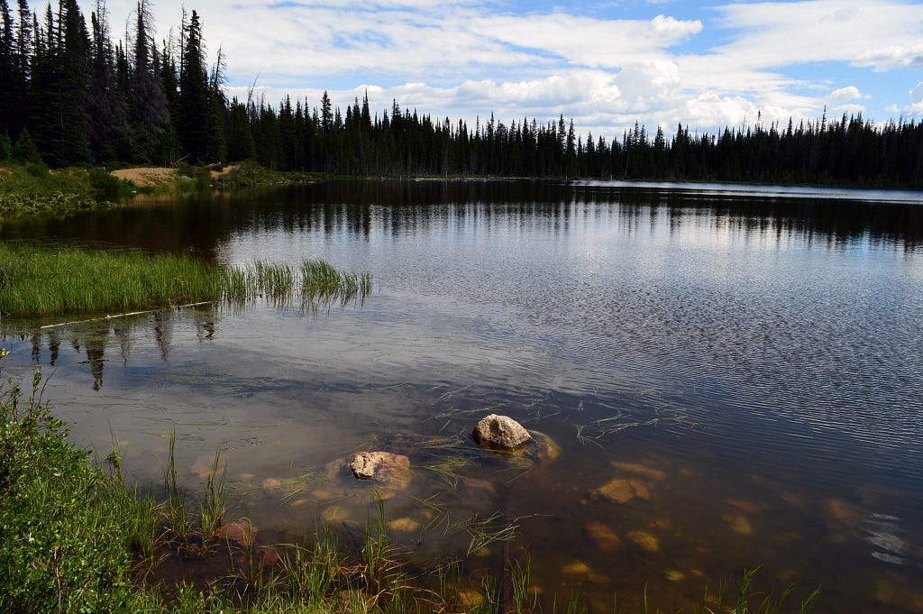 Landscape photo of a lake with trees in background