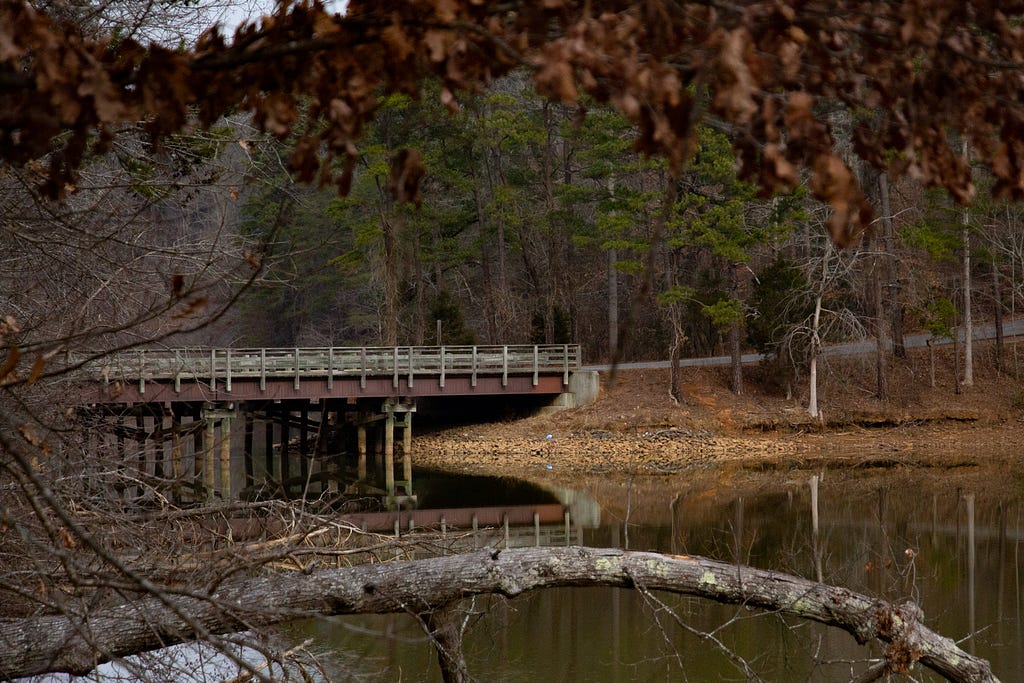 A view of the bridge, surrounded by tree branches and leaves out of focus in the foreground.