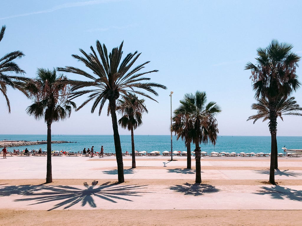 Photograph: Barcelona’s beach, which is a short walk from Qonto’s offices, with its yellow sand, blue seas, and palm trees casting shadows on the walkways along the beachfront.