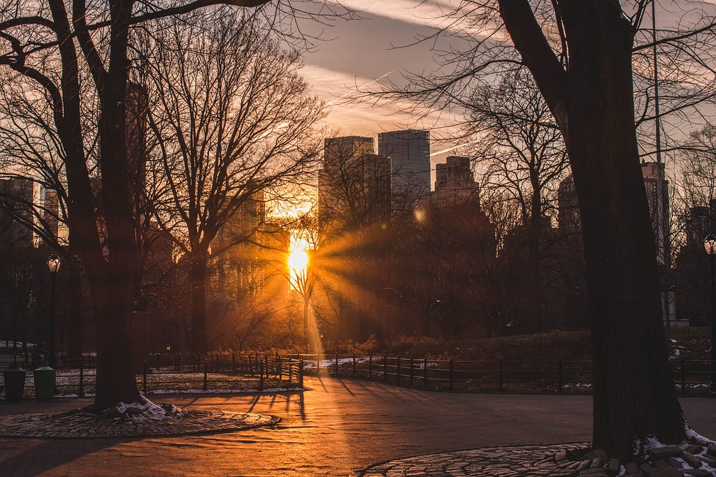 Sun shining through the buildings in Central Park, New York City