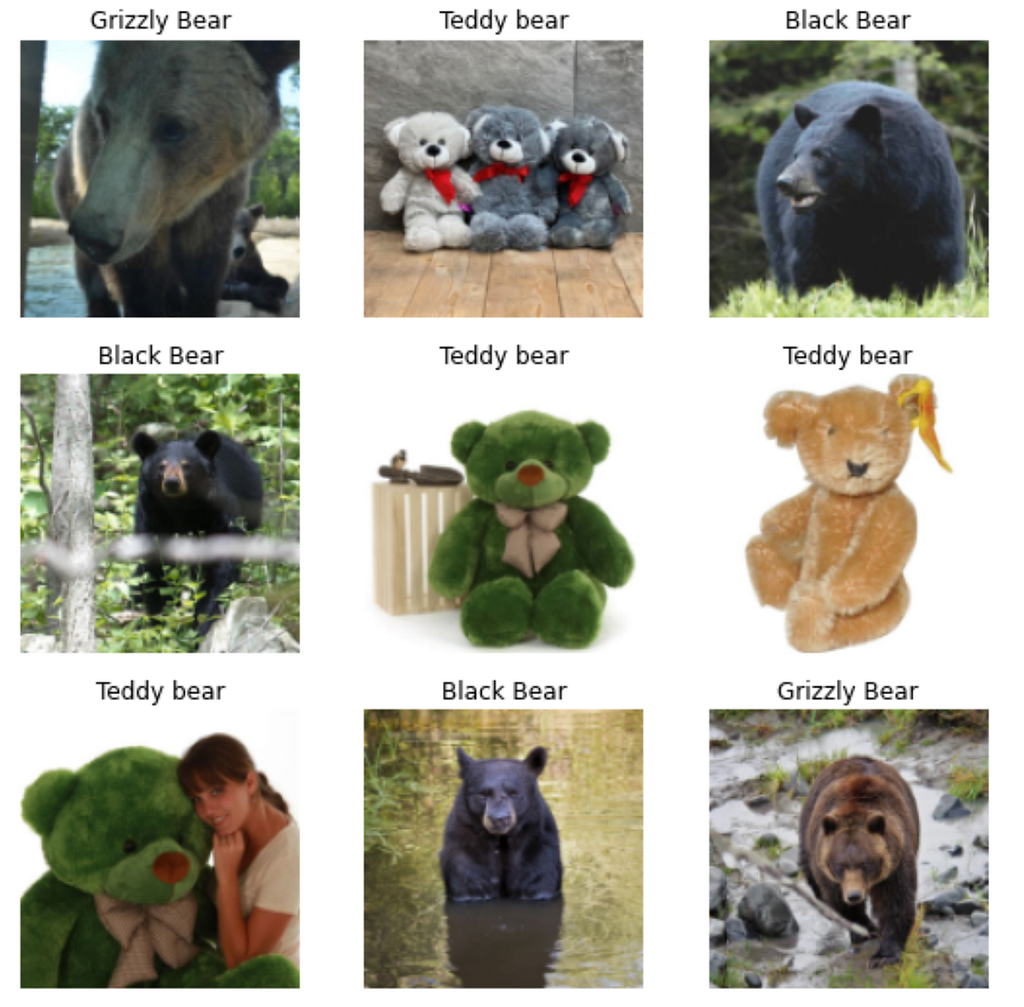 List of images in dataset along with the labels.