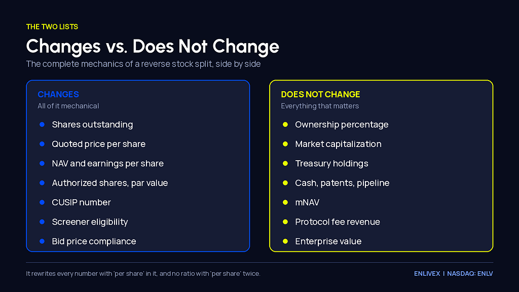 Two-column comparison. The left column, headed Changes, lists shares outstanding, quoted price per share, NAV and earnings per share, authorized shares and par value, CUSIP number, screener eligibility and bid price compliance. The right column, headed Does Not Change, lists ownership percentage, market capitalization, treasury holdings, cash, patents and pipeline, mNAV, protocol fee revenue and enterprise value.