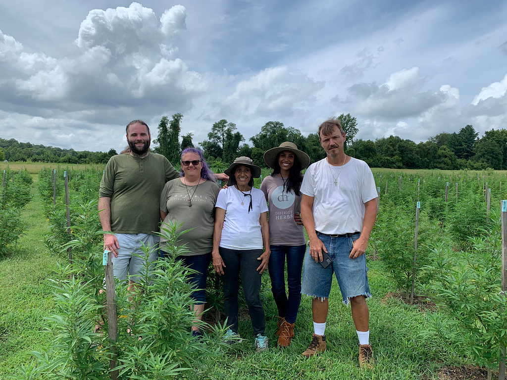 Sean and Bonnie of STROB, Ebony of District Herbs, and Ergibe and Brian of Honey Hemp Farms pose together for a photo in a hemp field.