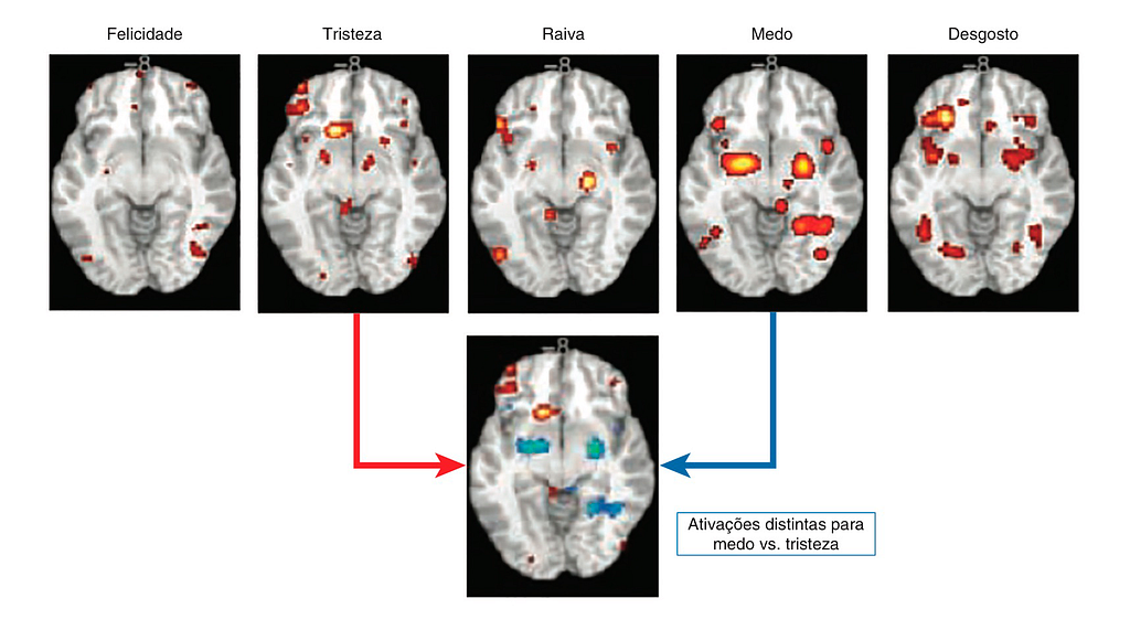 Imagem mostrando as ativações no cérebro de acordo com as emoções básicas, sendo elas: Felicidade, Tristeza, Raiva, Medo e Desgosto. Também temos ativações distintas para Medo vs. Tristeza.