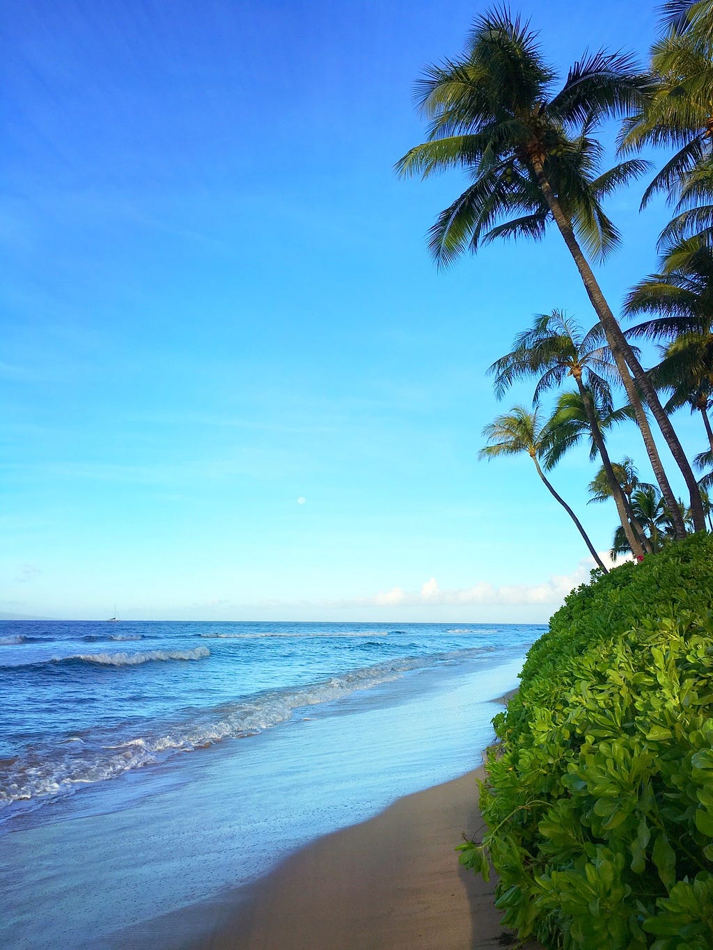 Photo of a beach in Hawaii.