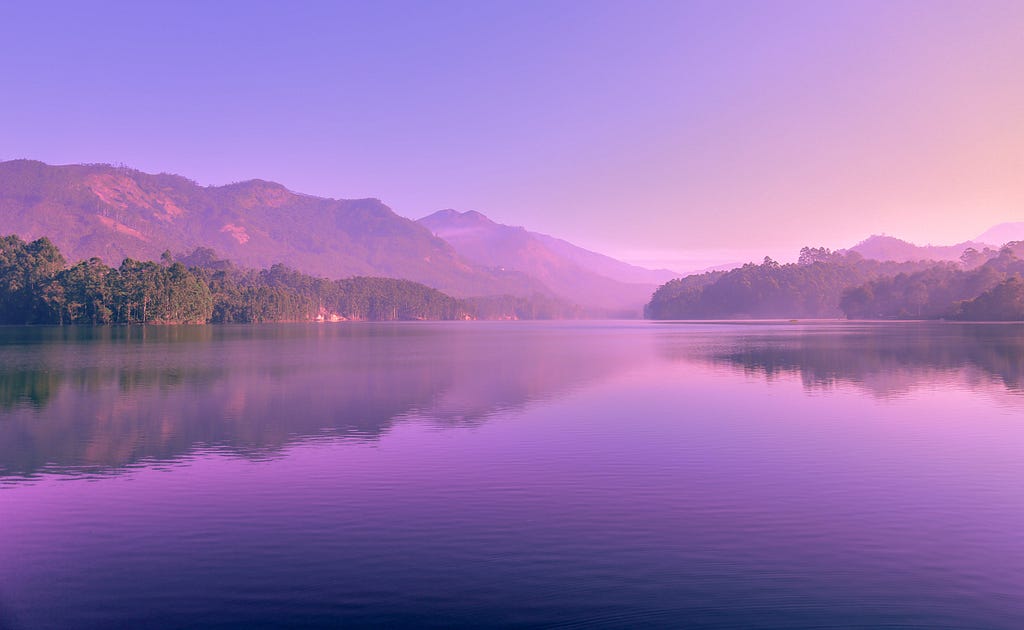 Green Trees in Front of Body of Water with Purple Sunset