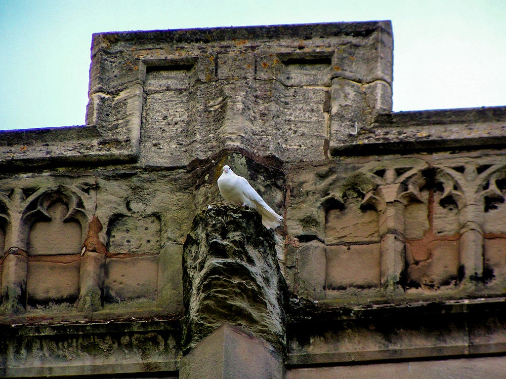 Photo by the author. After visiting Shakespeare’s grave inside the Holy Trinity Church in Stratford-upon-Avon, I saw this dove resting near the roof as I walked through a cemetery on the grounds. That was more than a decade ago, and, to this day, the photo still reminds me how I felt the day I took it.