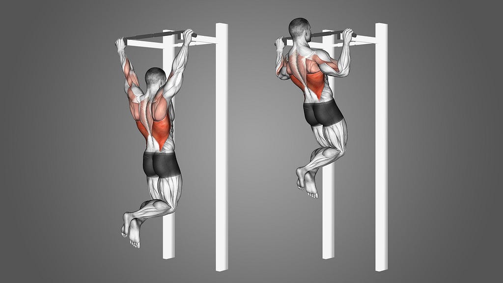 Wide grip pull up’s target muscles