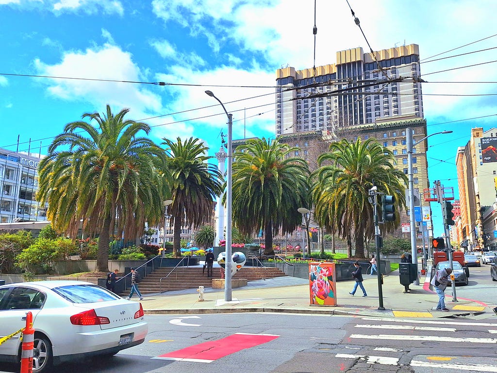 Picture of the palm trees at Union Square, San Francisco