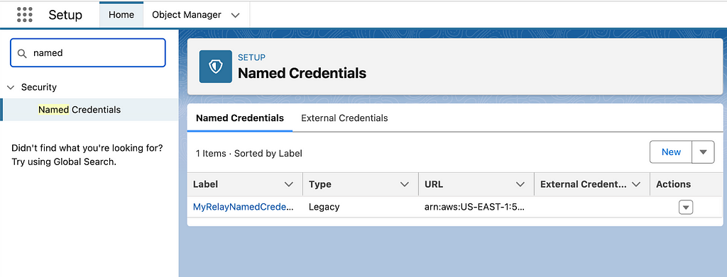 Screenshot of new Named Credentials in Setup